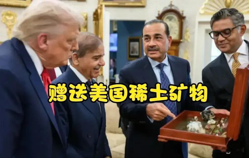 巴基斯坦送美国稀土背后捅刀子，我国立即管稀土提炼技术！事发10月9日，我国商务部