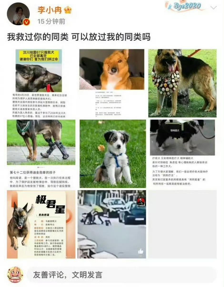 杀人犯，是不是也可以这样说？流浪狗是流浪狗，搜救犬是搜救犬，警犬是警犬，谁让
