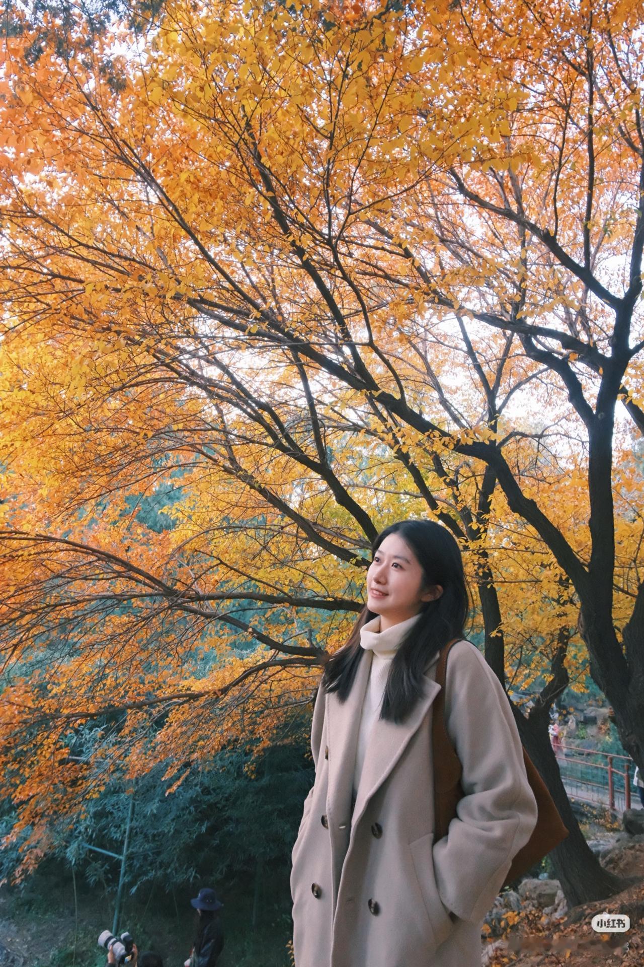 为什么有的女人一看就很有气质