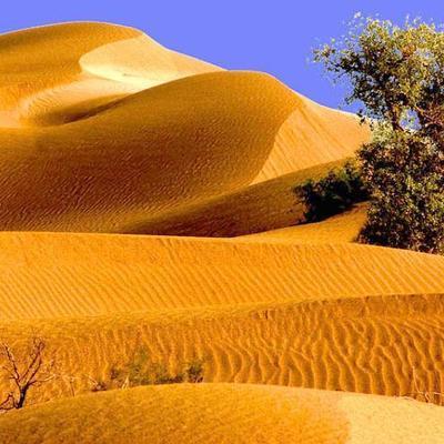 中国在塔克拉玛干沙漠腹地找到两处大型地下水水源！打破了“沙漠地下只有死水、咸水”