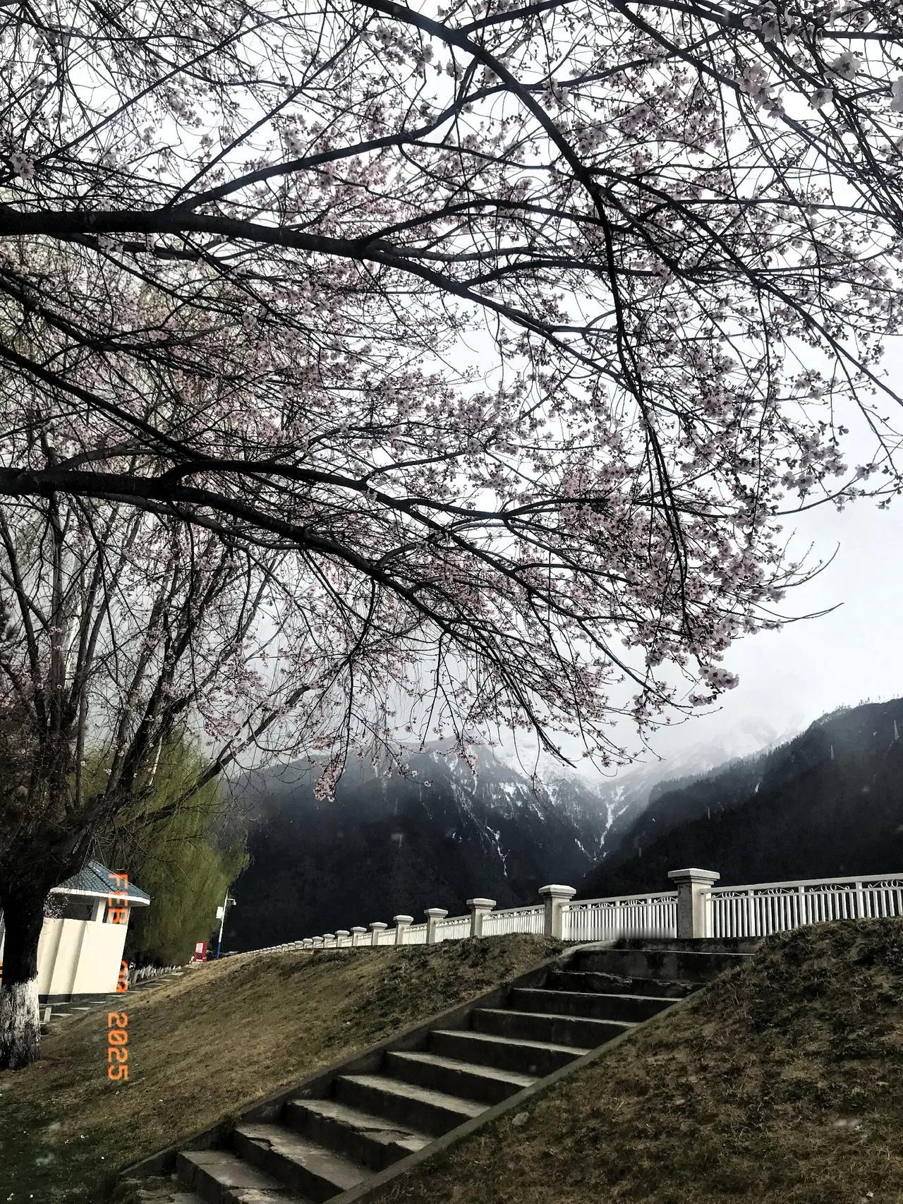 旅途中的治愈系风景天上西藏，雪域高原。四季风景，美不胜收。心情舒畅，欢乐开怀。遇