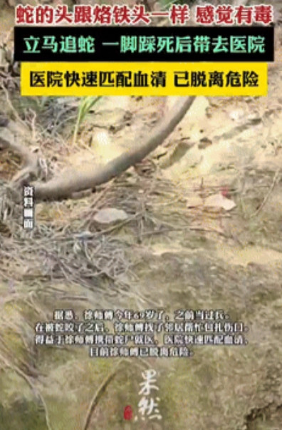 “姜还是老的辣！”浙江一69岁大爷去田里摘菜时，突然感觉自己的手被扎了一下，随后