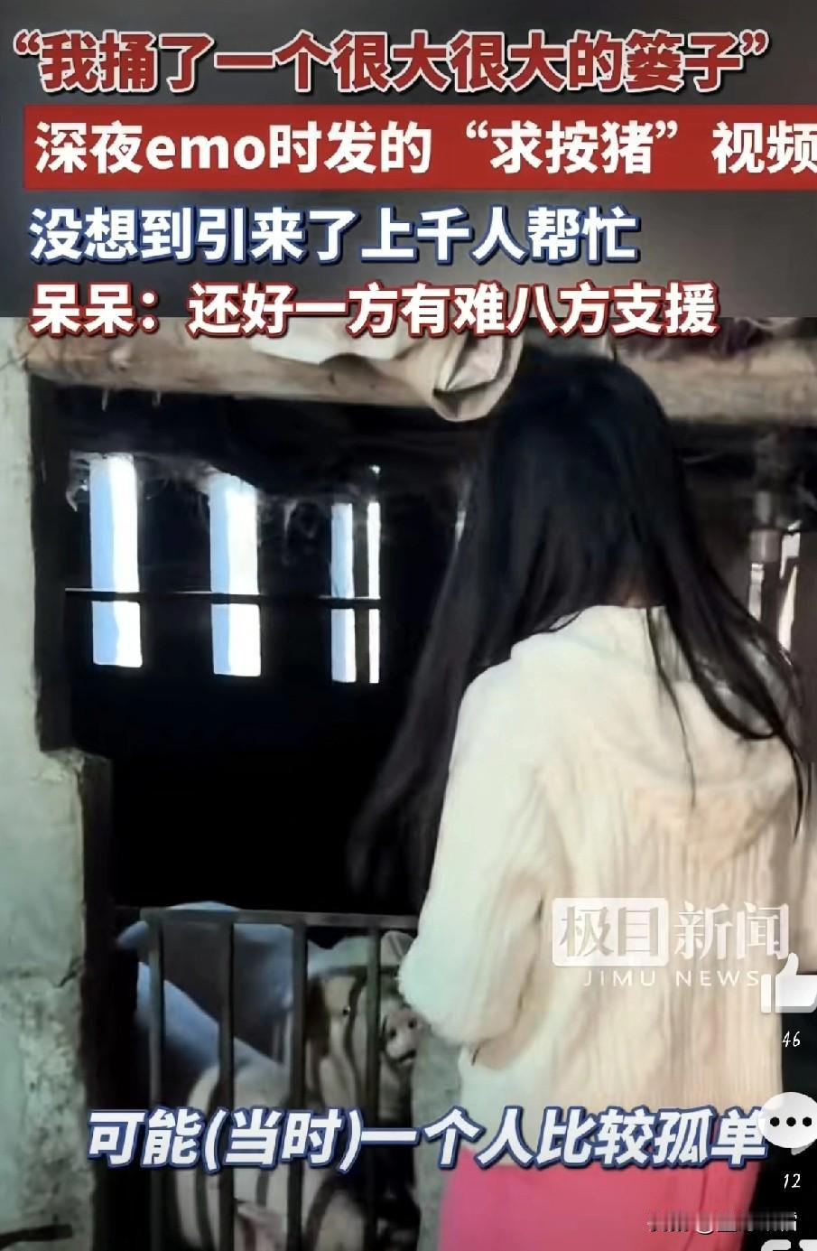 新年的闯祸第一人圆满落幕呆呆的杀猪汤宴圆满落幕，13号正式喊话让大家都回归正