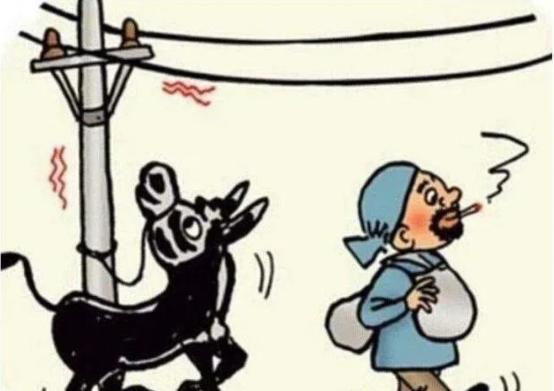 一头病驴价值50美元，然而一个犹太人却花100美元买了它，当所有人都笑他傻时，犹