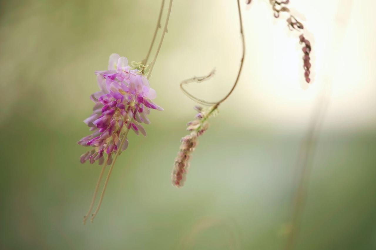 别人敢欺负你，根本不是你没实力，而是你太善良、太好说话生活里总有这么一种人