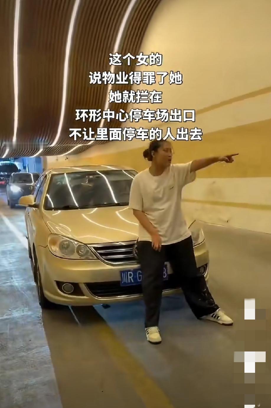 这个女的，说物业得罪了她，她就拦在环形中心停车场出口，不让里面停车的人出去，导致