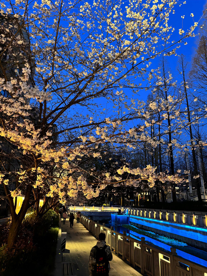 𝗕𝗹𝘂𝗲𝗛𝗼𝘂𝗿蓝调时刻​​​​