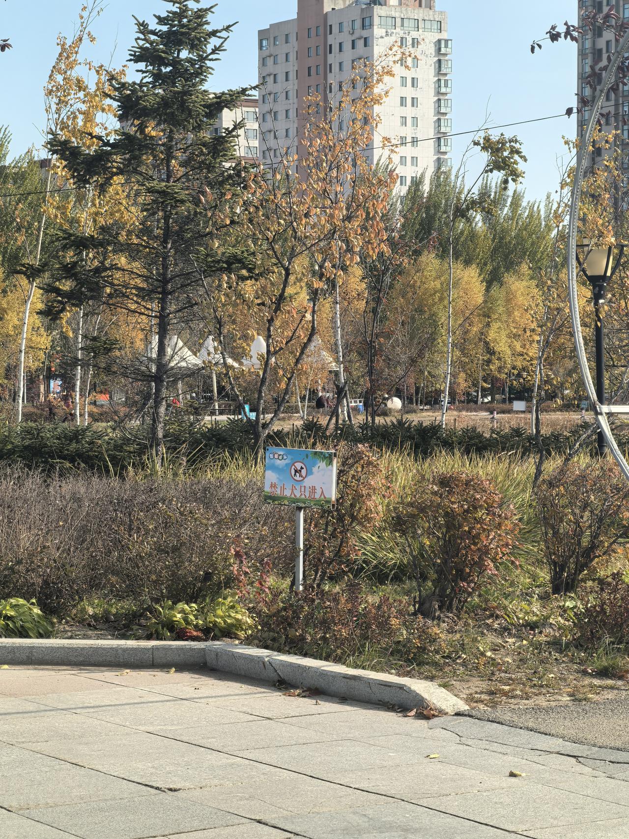 50岁了，我已经没有容貌焦虑了。其实换一个赛道就好了。今天和老公去了附近的公