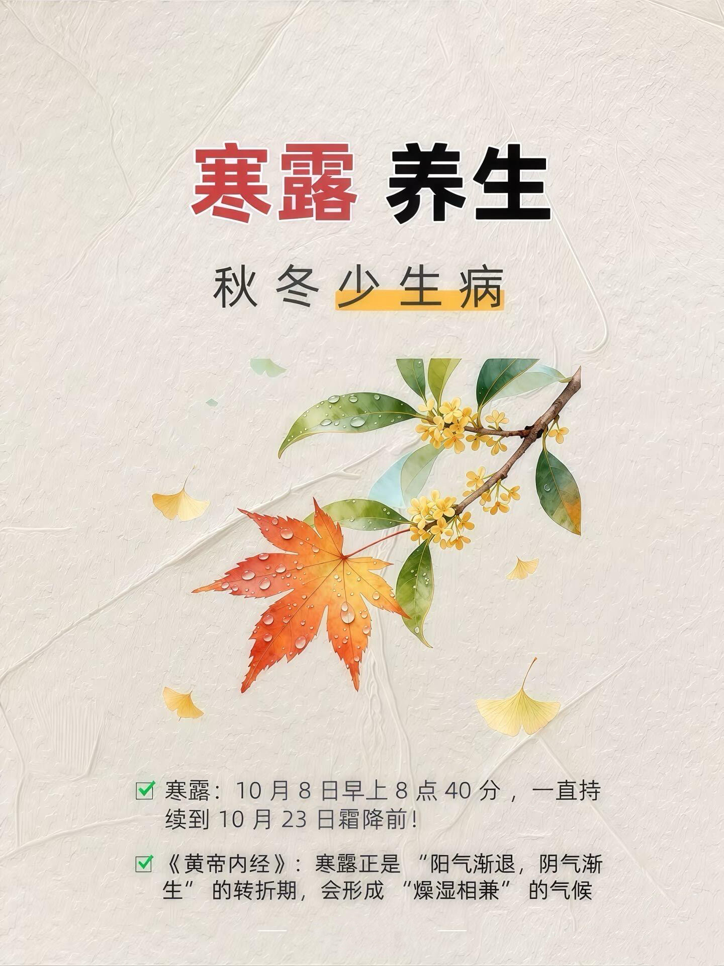 10.8今日寒露，做好这几点！🍂2025年寒露已到了——10月8日早上8点40