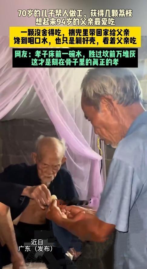 泪目！70岁儿子揣荔枝跑回家，94岁老爹吃得甜，全网看哭了。你见过70岁还