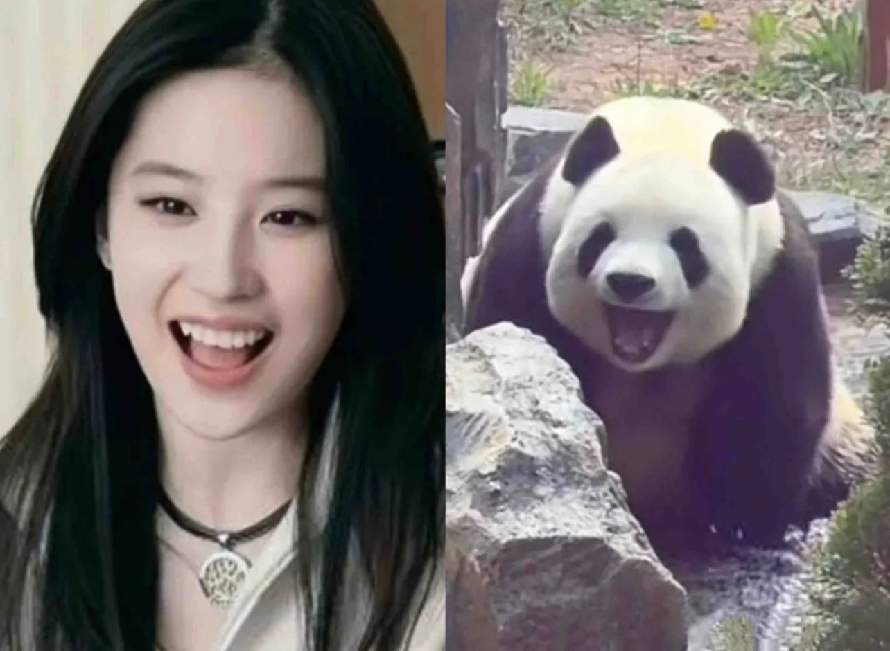 🐼和黄亦玫同款都是我喜欢的元素耶一把子期待了刘亦菲玫瑰的故事这红利也太多了吧