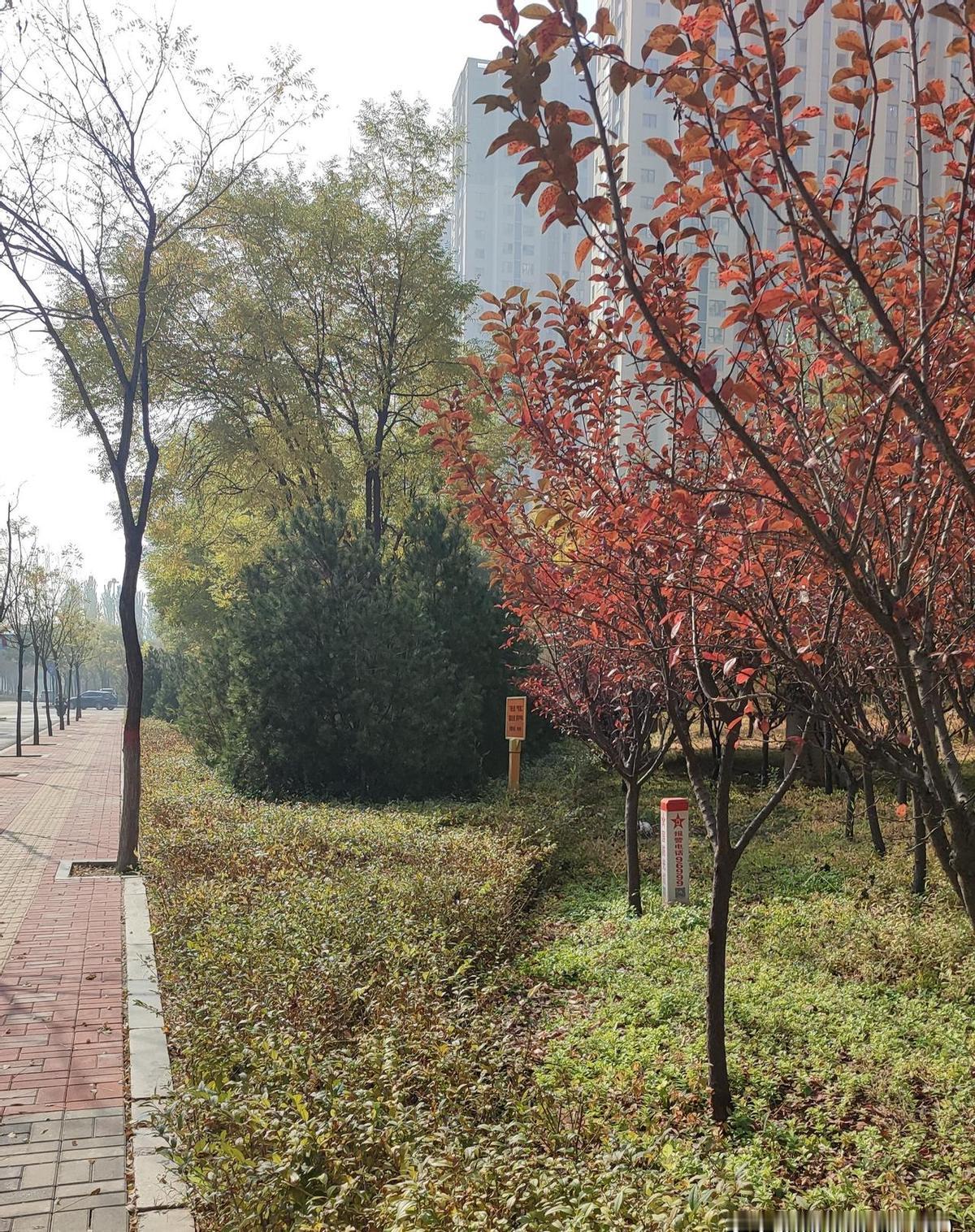 工程圈没人真信“关系硬”，但人人都在悄悄搭桥。你干的活儿能糊弄人，人情债却赖不