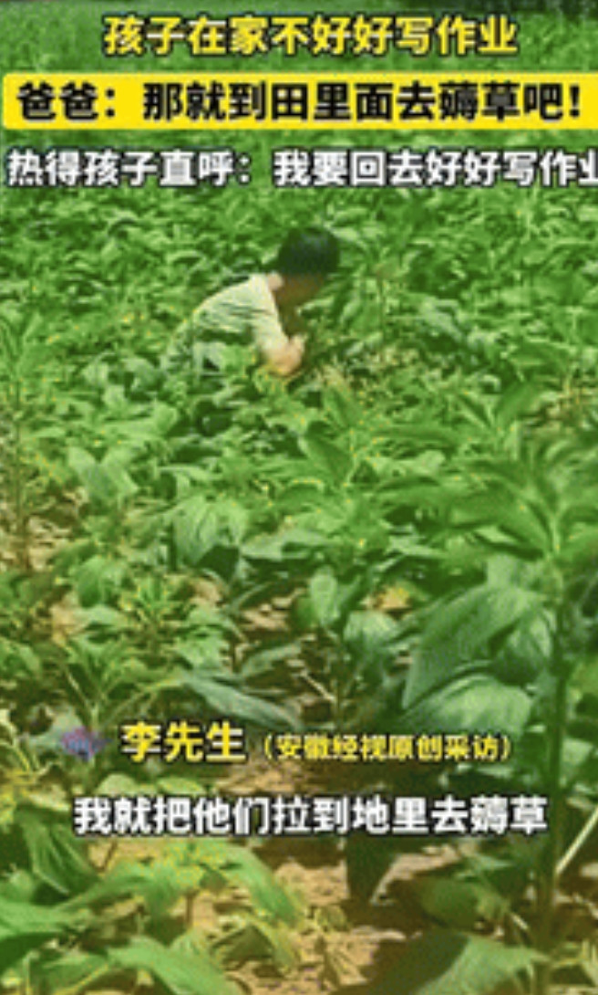 “这爹是个狠人！”安徽，男子辅导3个孩子写作业，结果熊孩子吵着不想上学，气的男子
