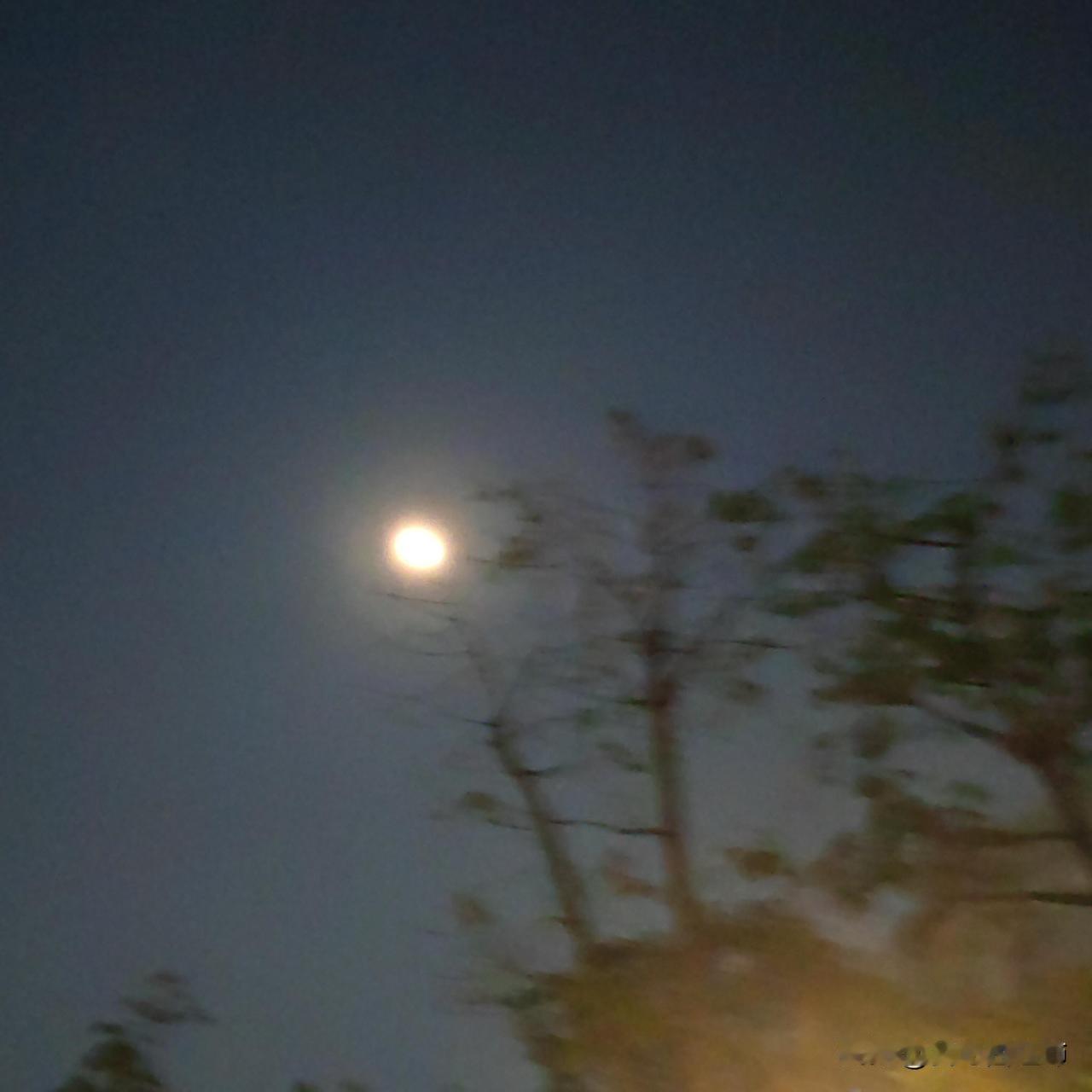 我爸年近半百出走失败我爸快五十了，他想一个人自驾游去云南玩几天。我妈非常