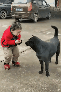 快乐有时真的很简单，吃什么不重要，吃多少也不重要，关键在于小主人分享快乐，没有忘
