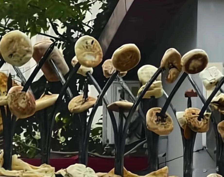 远远望去,不知道的还以为围栏上长蘑菇呢!天津一小区近日有奇葩现象,只要天气好的