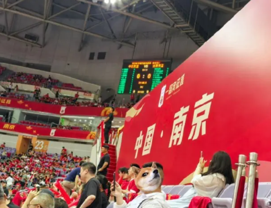 哈哈哈，高铁这个名字可以休矣。与波黑的上半场，替补登场的高诗岩，一开始并没有