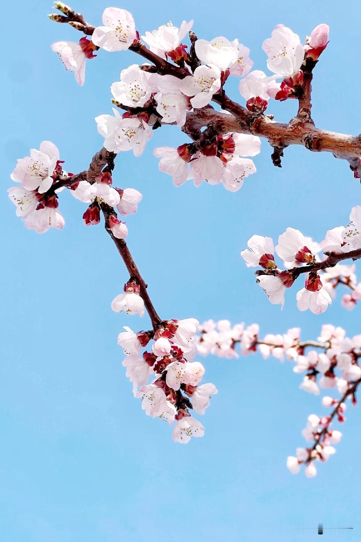 春播千亩稻秋染万山金春风拂野播下千亩希望稻秧细雨润田孕育满仓丰收期