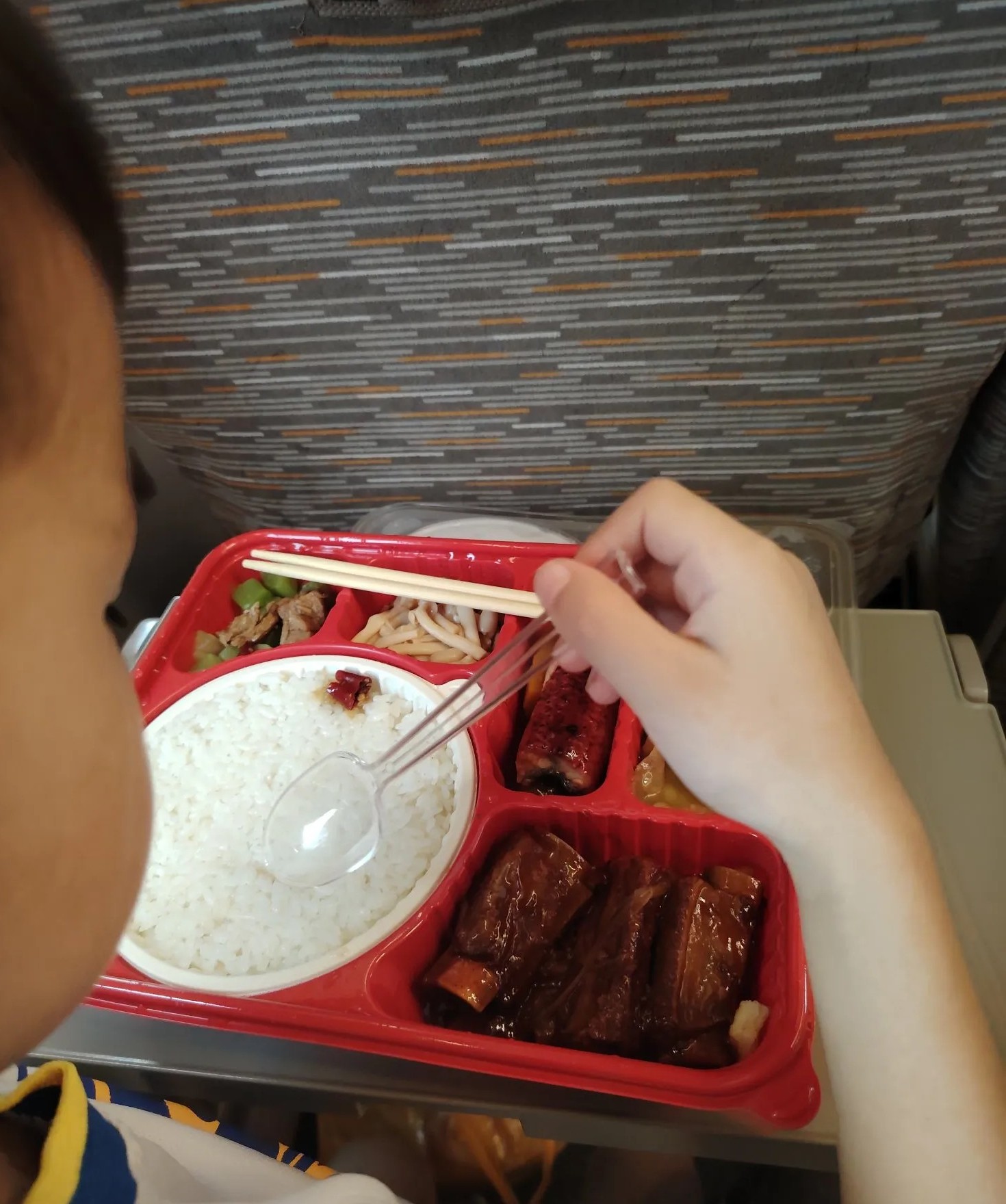 前几天从武汉坐G881到深圳北，中途买了一份快餐，当时没问多少钱，想着可能也就是