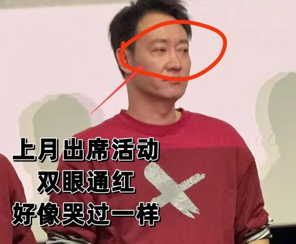 辛柏青，你实在太糊涂了。许多人不理解，为何在朱媛媛身患重病的情况下，你没