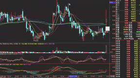 套利者对股价_牛市套利 熊市套利_牛市套利熊市套利