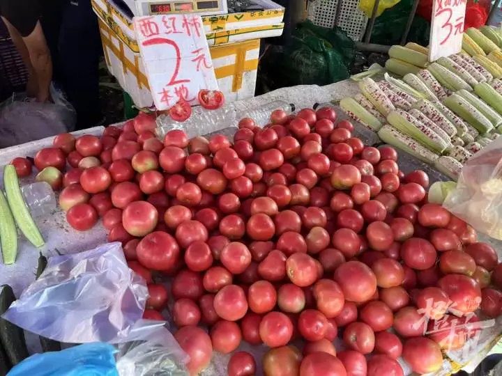 西红柿价格飙升! 多地零售价突破10元/斤, 网友: 鸡蛋都快配不上它了……