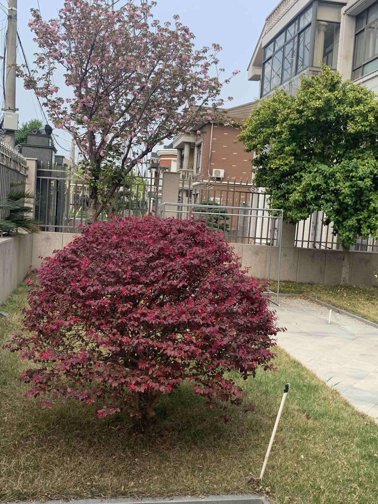 生肖属马的人，晚年生活各有各的精彩。属马人性格开朗、爱挑战，晚年事业上可能不安于