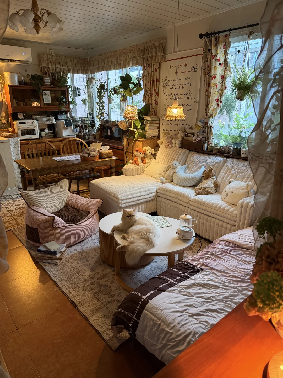 夏日小屋傍晚实况 ☁︎⋆ ☾