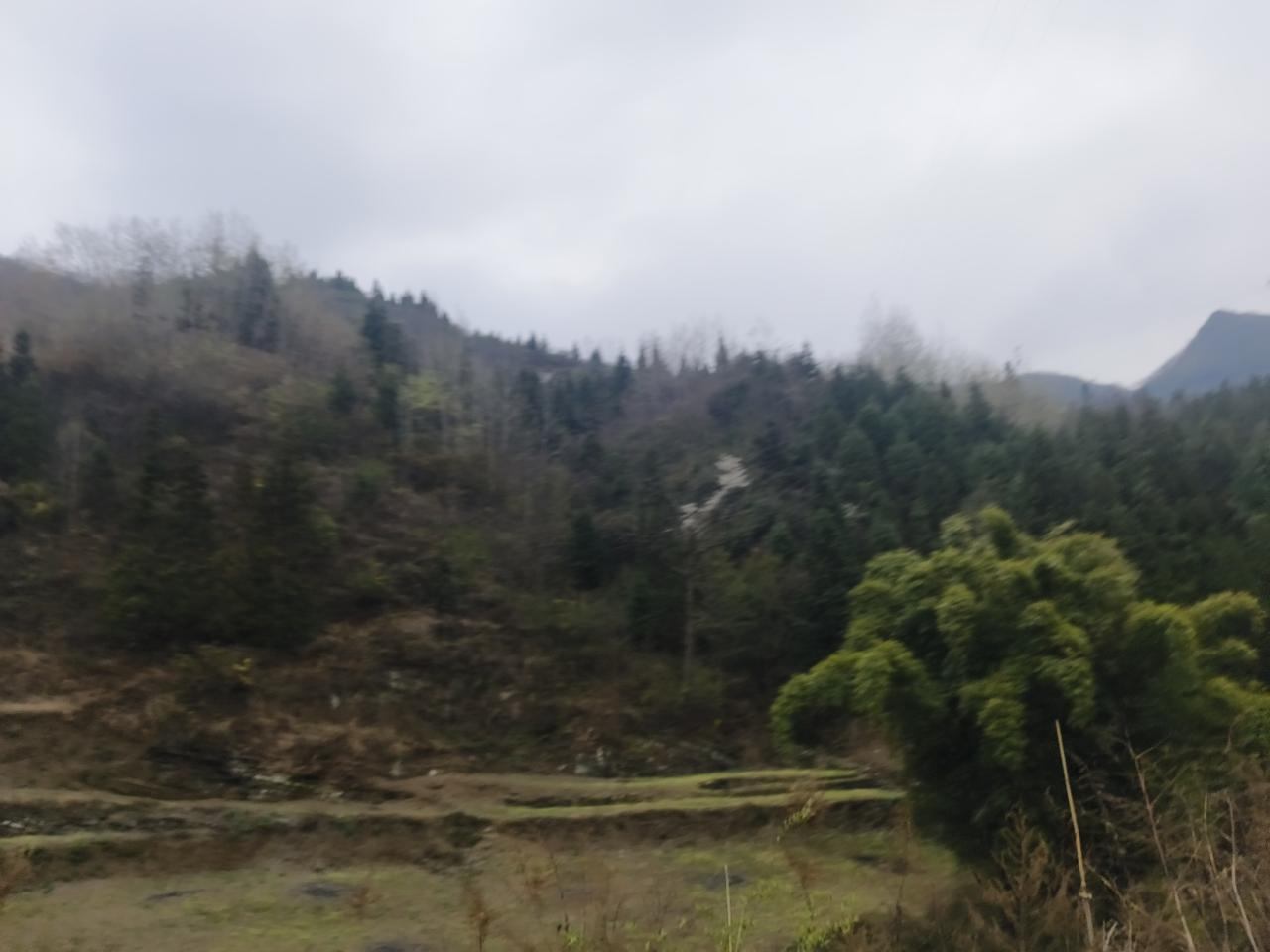 职称的岗位工资差别并不大！:中小学教师职称工称差别并不大。教师分13