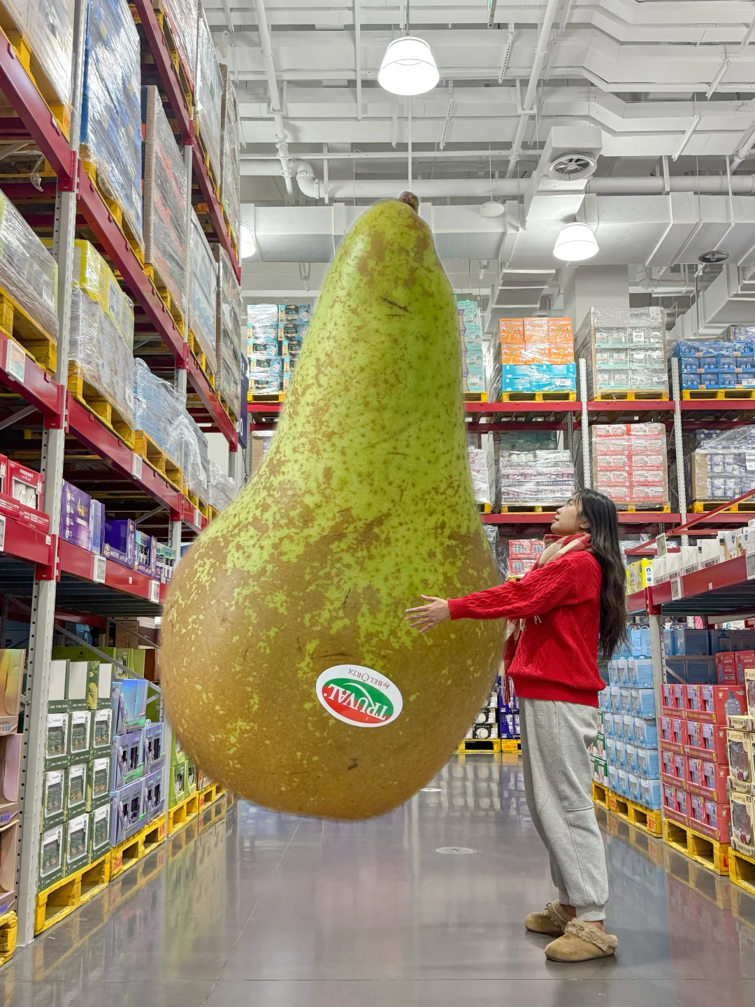 山姆春节囤货！比利时啤梨反复回购🛒