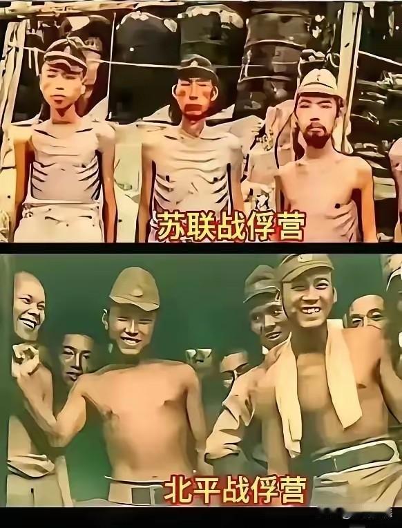 日本鬼子投降之后，受到的待遇是不一样的，到西伯利亚去的这些日本鬼子，身材变得苗条
