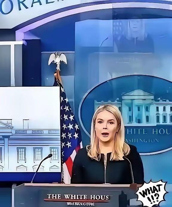 美国被中国再度拒绝了，美国官员很沮丧！真正让华盛顿难受的，不是H200这款芯片