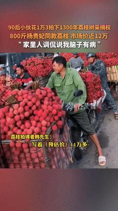 “赚大发了！”小伙1.3万拍下1300年杨贵妃同款荔枝树采摘权，被嘲“脑子有病”