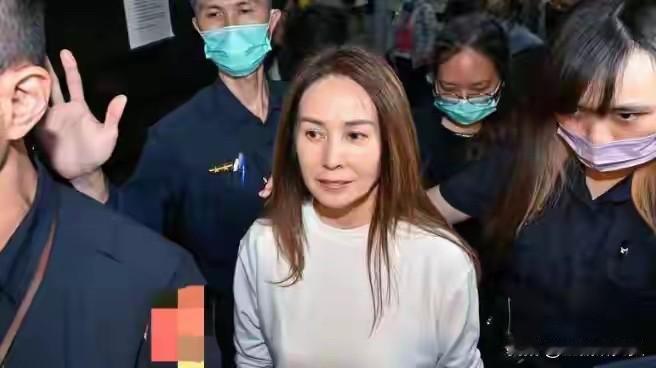 台无党籍立委高素金梅今（26日）在脸书发文表示，昨天，许多族人朋友看到了一些媒体