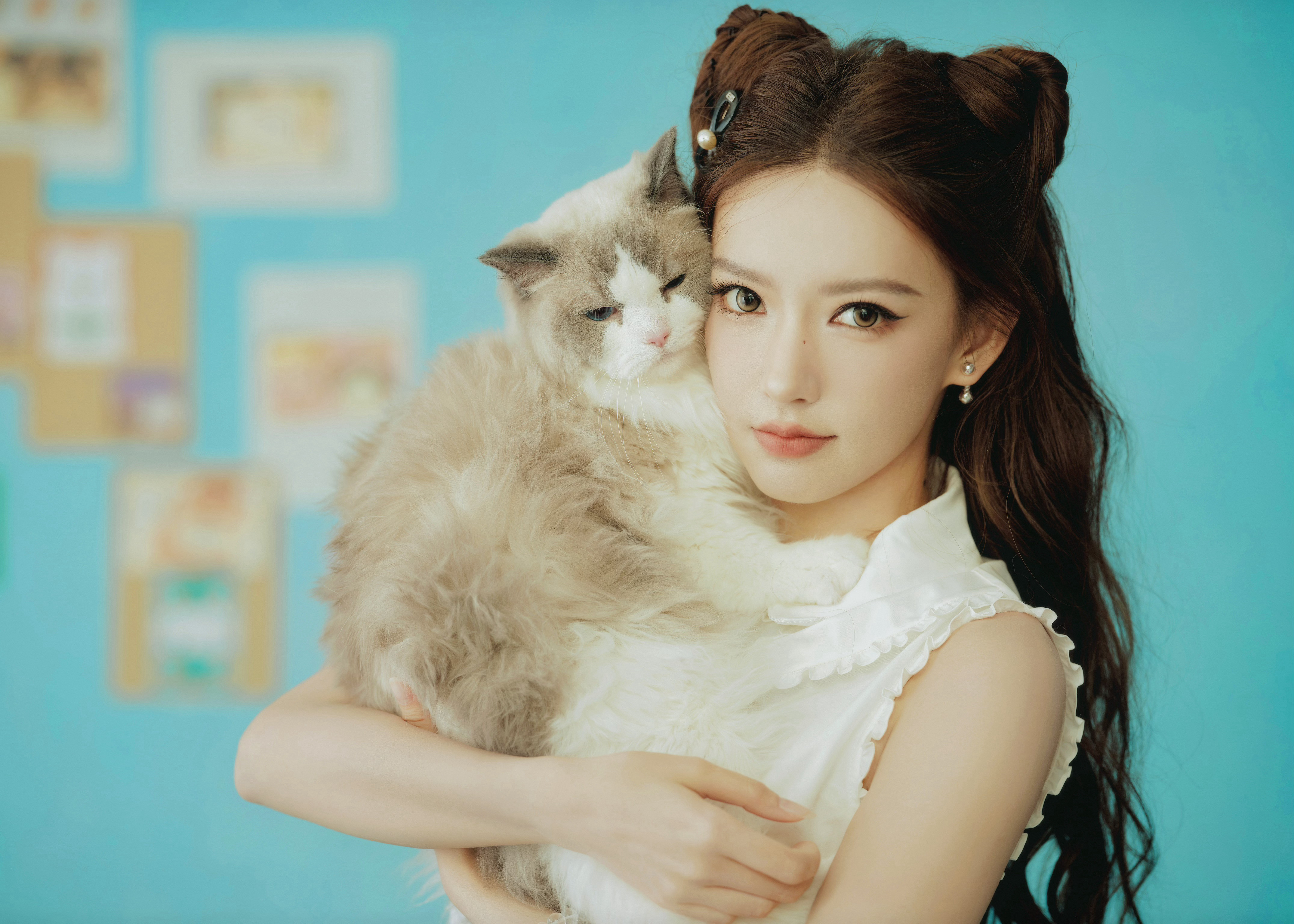 🐈🩵🐈程潇