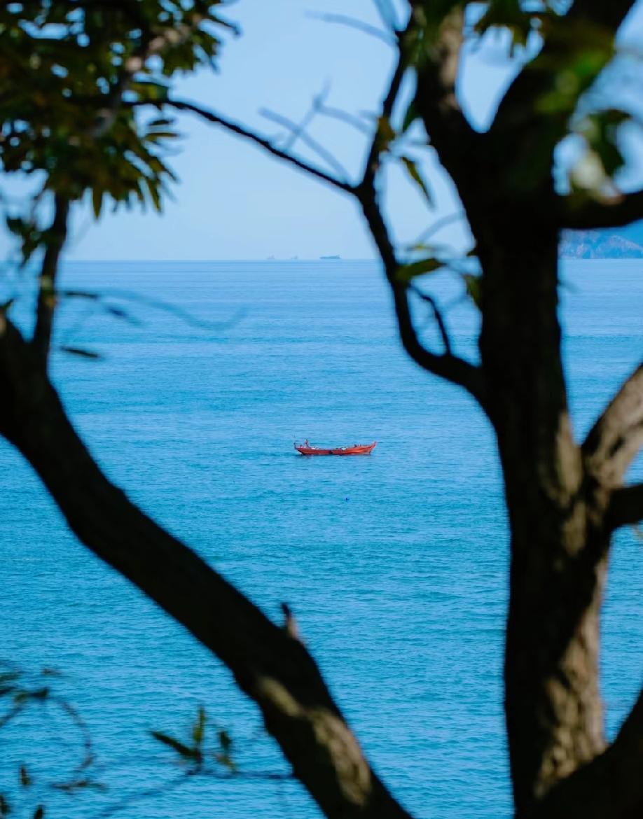 张雪峰经典又透彻的三个观点！一、社会就是一个大筛子。用学历，筛掉了不努力的孩
