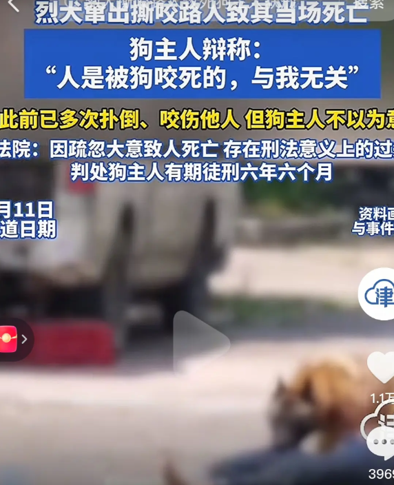 烈性犬咬死路人！狗主人甩锅“人是被狗咬死的，与我无关”！法院判6年半！这事你站谁