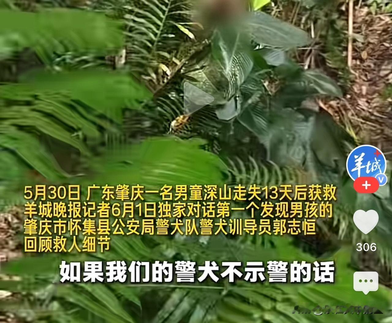 肇庆11岁男童在深山走失13天，能被平安找回，警犬立了大功。据当地警犬训导员