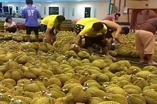 失去中国市场，大量水果烂在地里，才开始后悔得罪中国，现在知道错了？晚了！20
