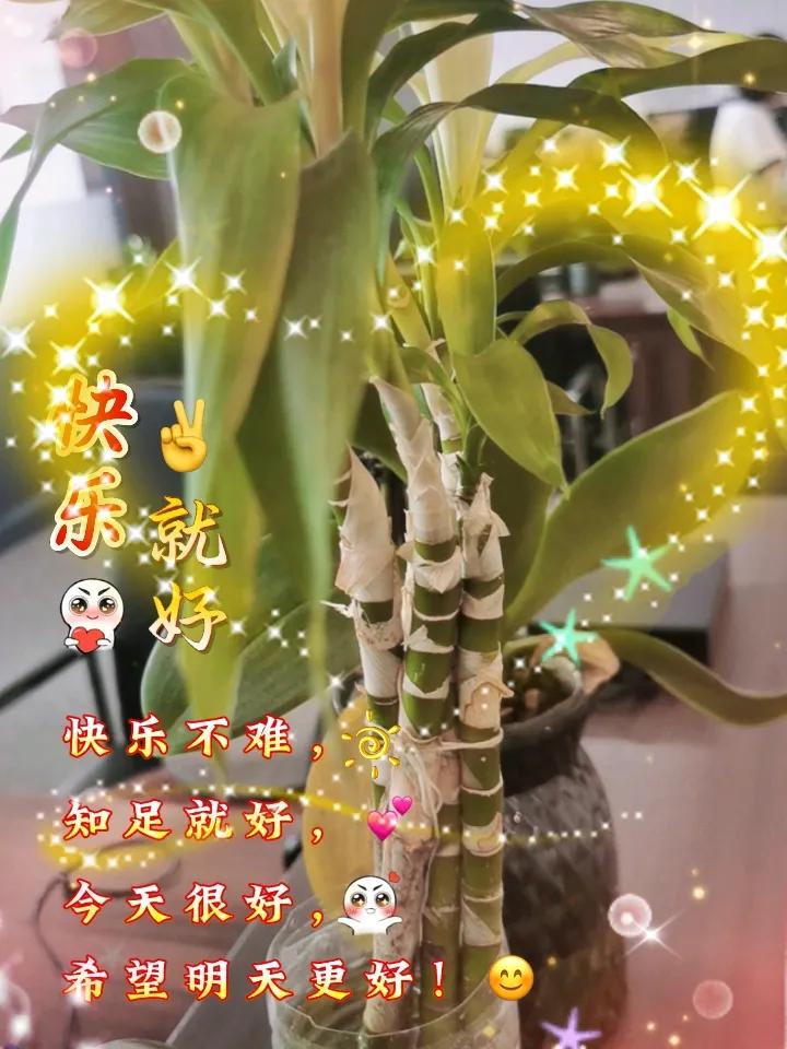 张嘉益给董宇辉做的那碗饸饹面，估计比啥心灵鸡汤都管用。陕西人待客，最实在的