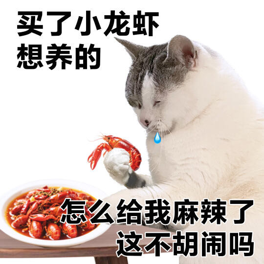 表情包 | 这不胡闹吗