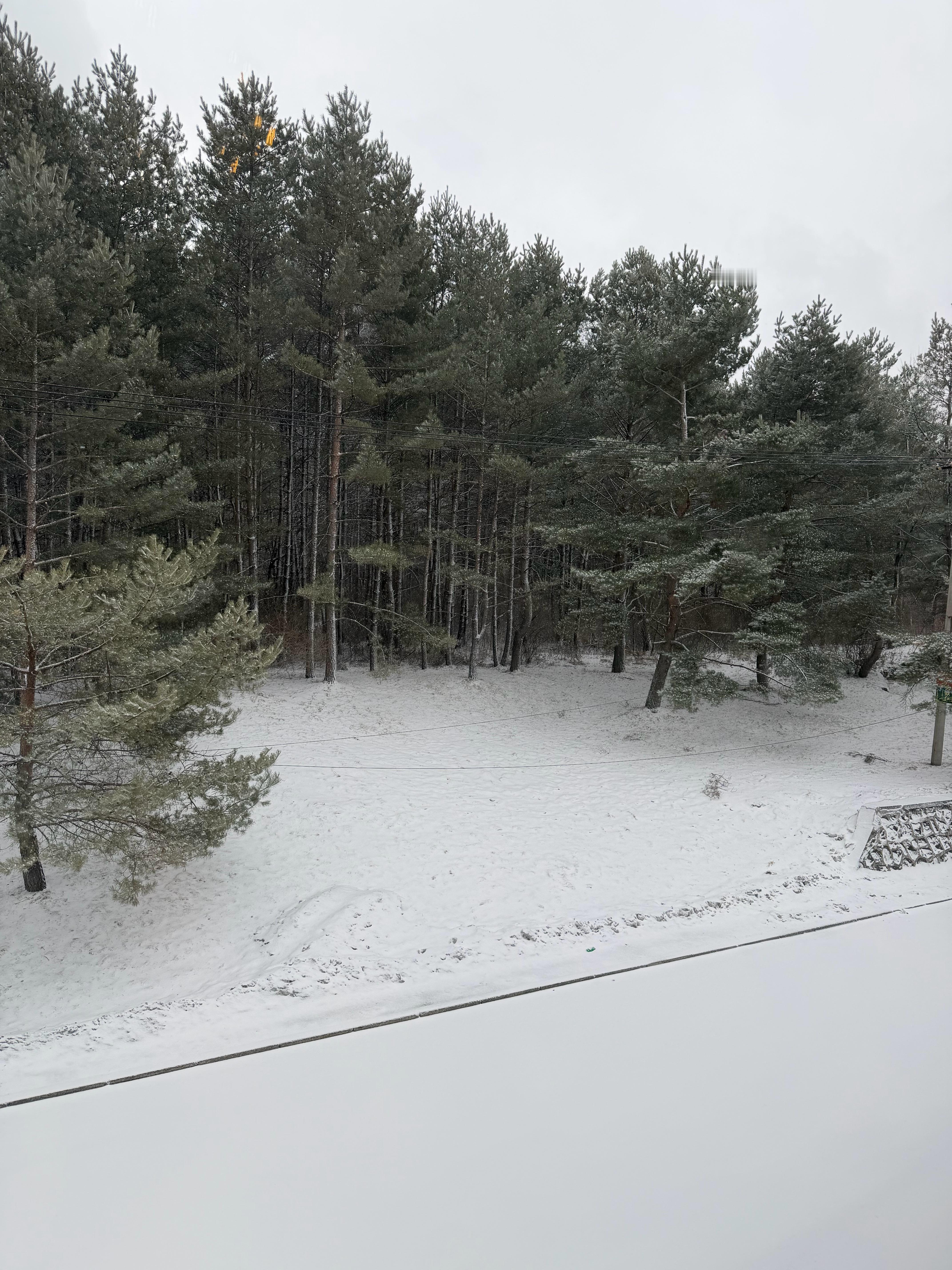 早上好，下大雪啦！延边·二道白河镇