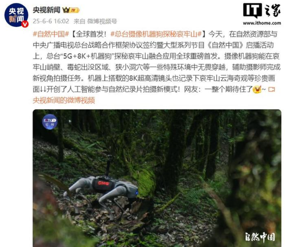 妈都打样了！别告诉我你还不知道？机器狗探秘哀牢山，往高了说这是人类全新科考勘