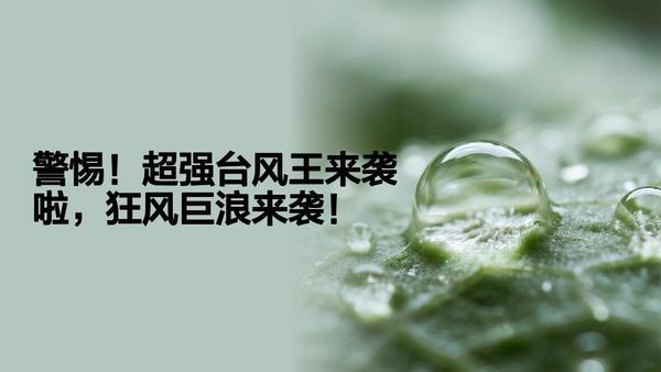 警惕！“超强台风王”或将来袭，狂风骤雨、巨浪滔天，威胁沿海安全。它路径如何？何时