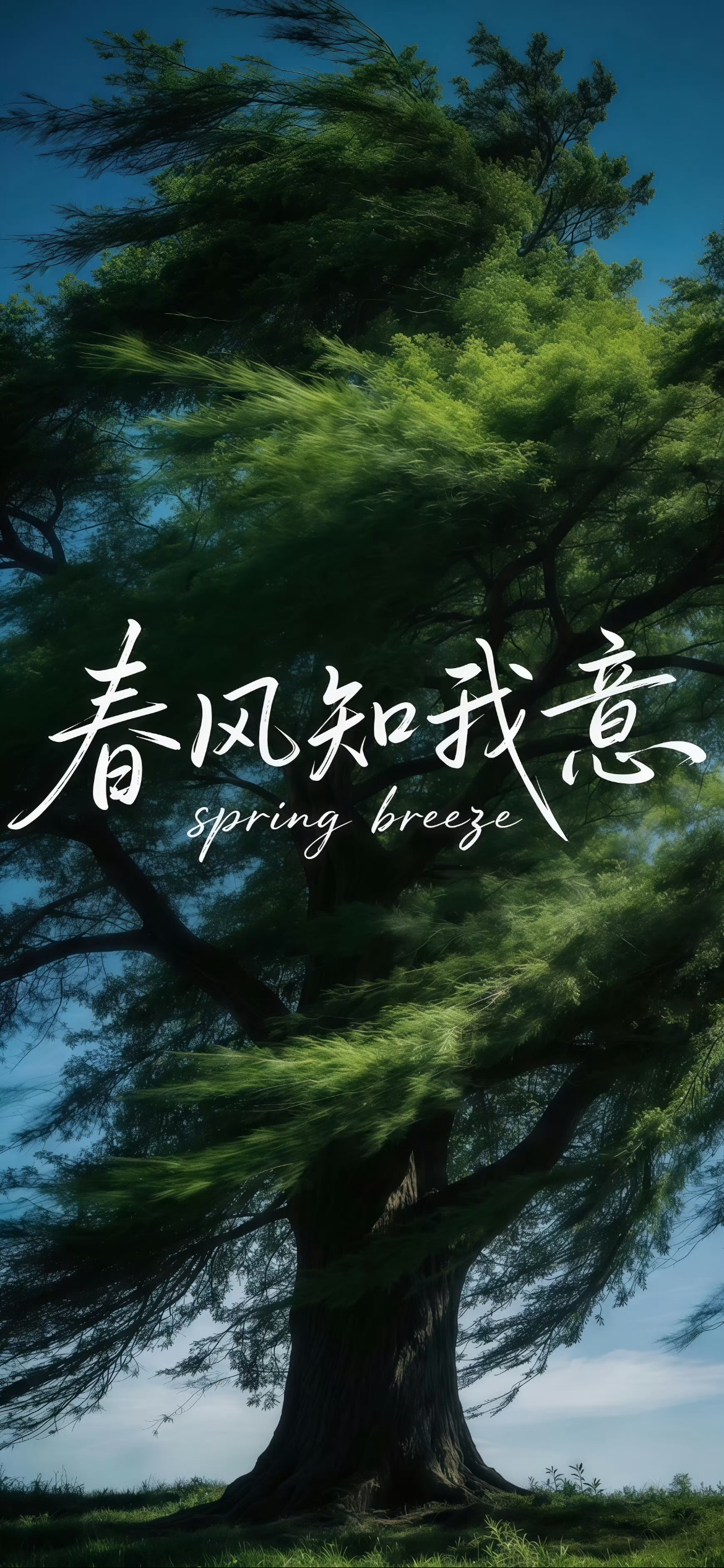 背景图｜聊天背景｜手机壁纸｜全面屏壁纸｜万能聊天背景图｜优质壁纸｜