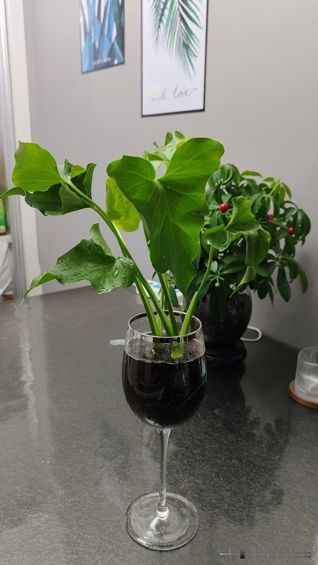 以前总觉得朋友多了路好走，现在才发现，最大的养生其实是“断舍离”。把那些天天