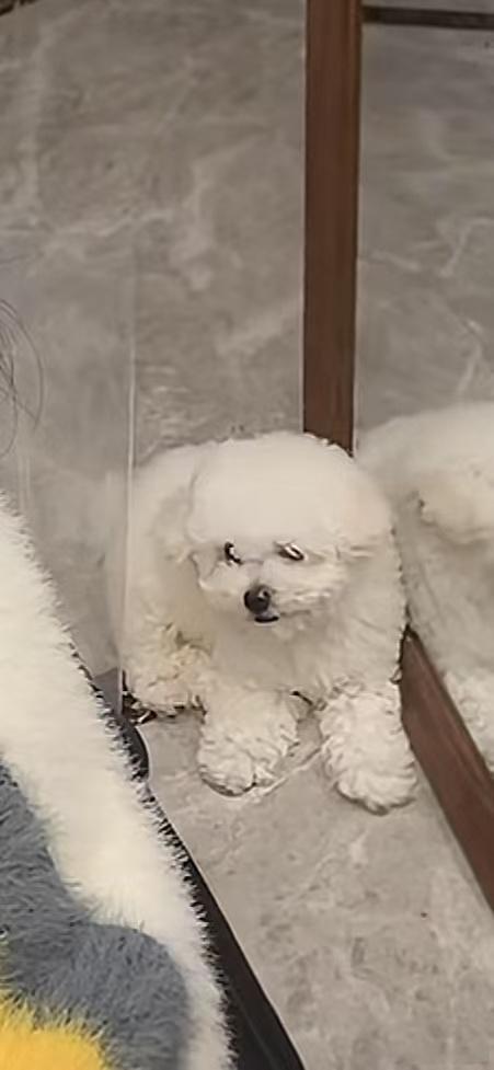 到底是哪里出了问题​​​