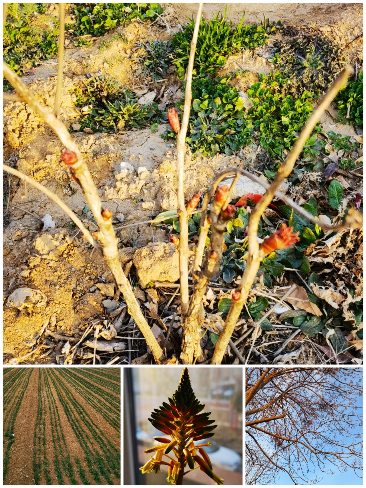 逐梦为马，冰雪见未来