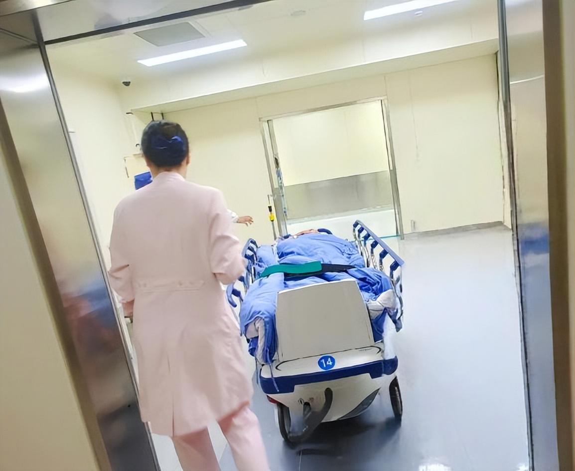 1只也不能抓！浙江男子为“补身体”常抓来炖汤，结果差点丢了命说到滋补，很多人