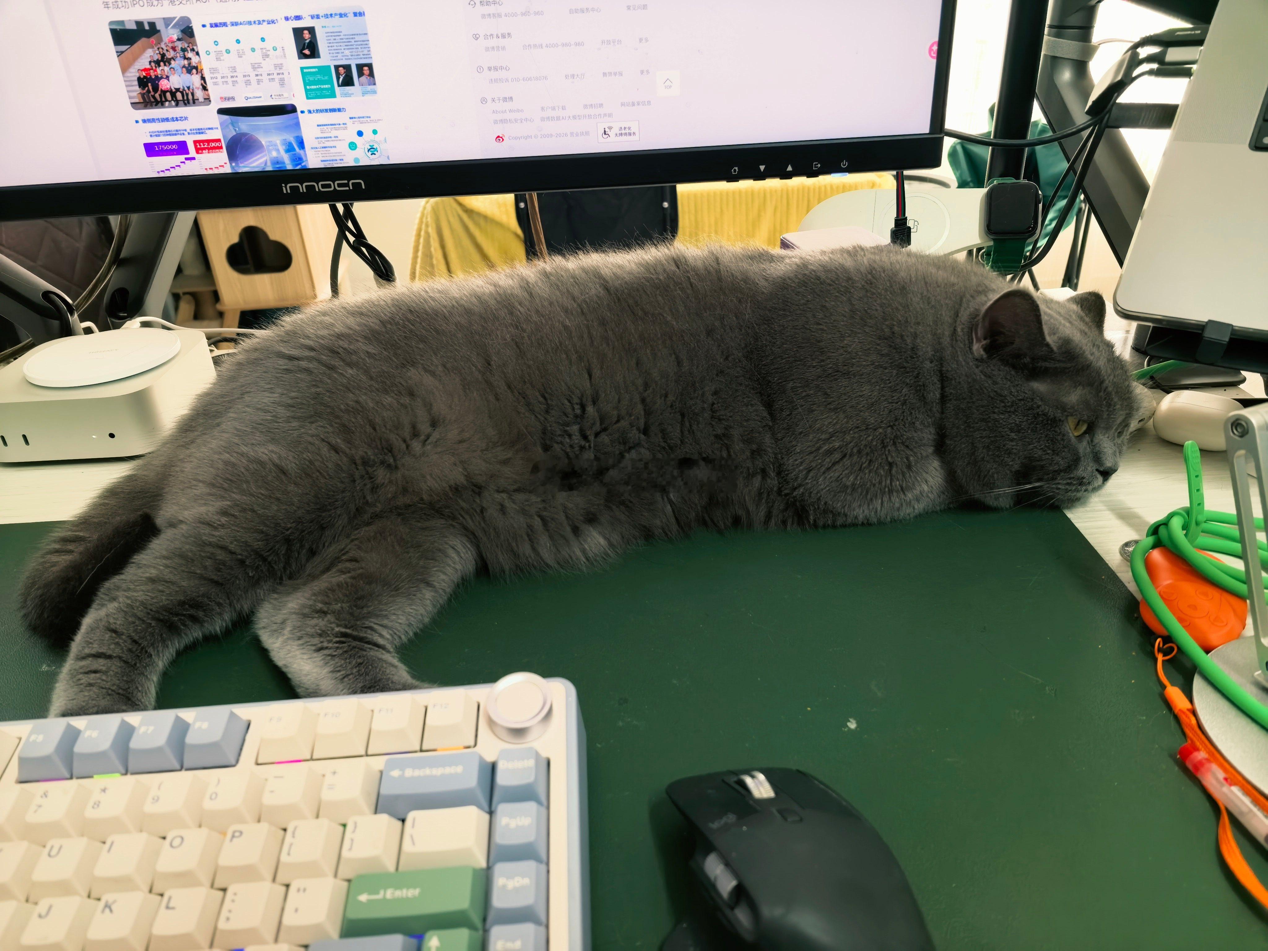 猫爷每天吃饱了，就躺在桌子上思考它的猫生，这个表情包很适合它